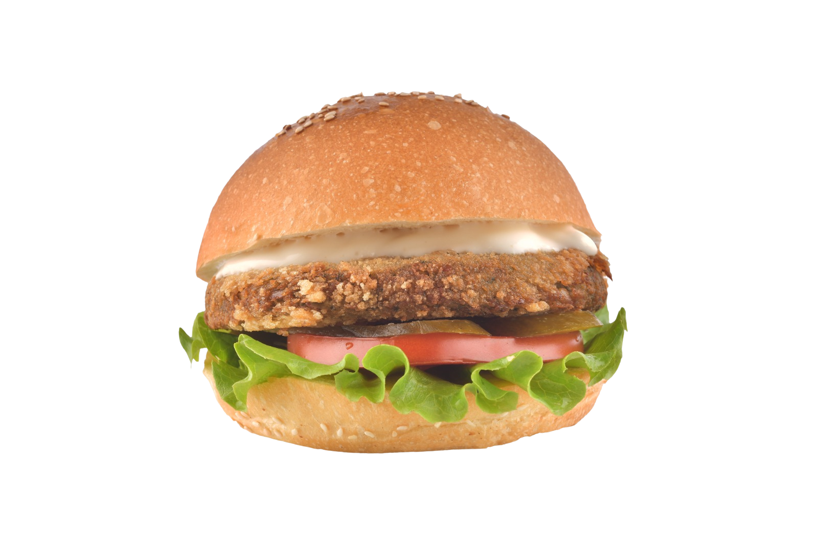 Vejeteryan Burger | Single / Double